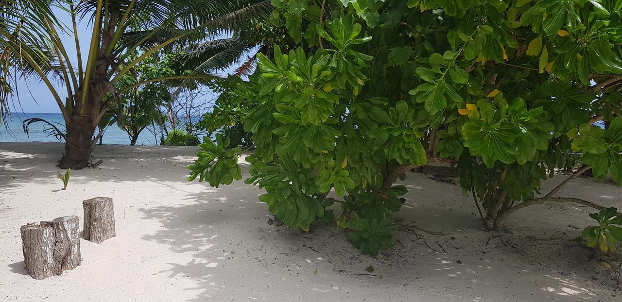 Villa Admiral Grand’ Anse Zewnętrze zdjęcie