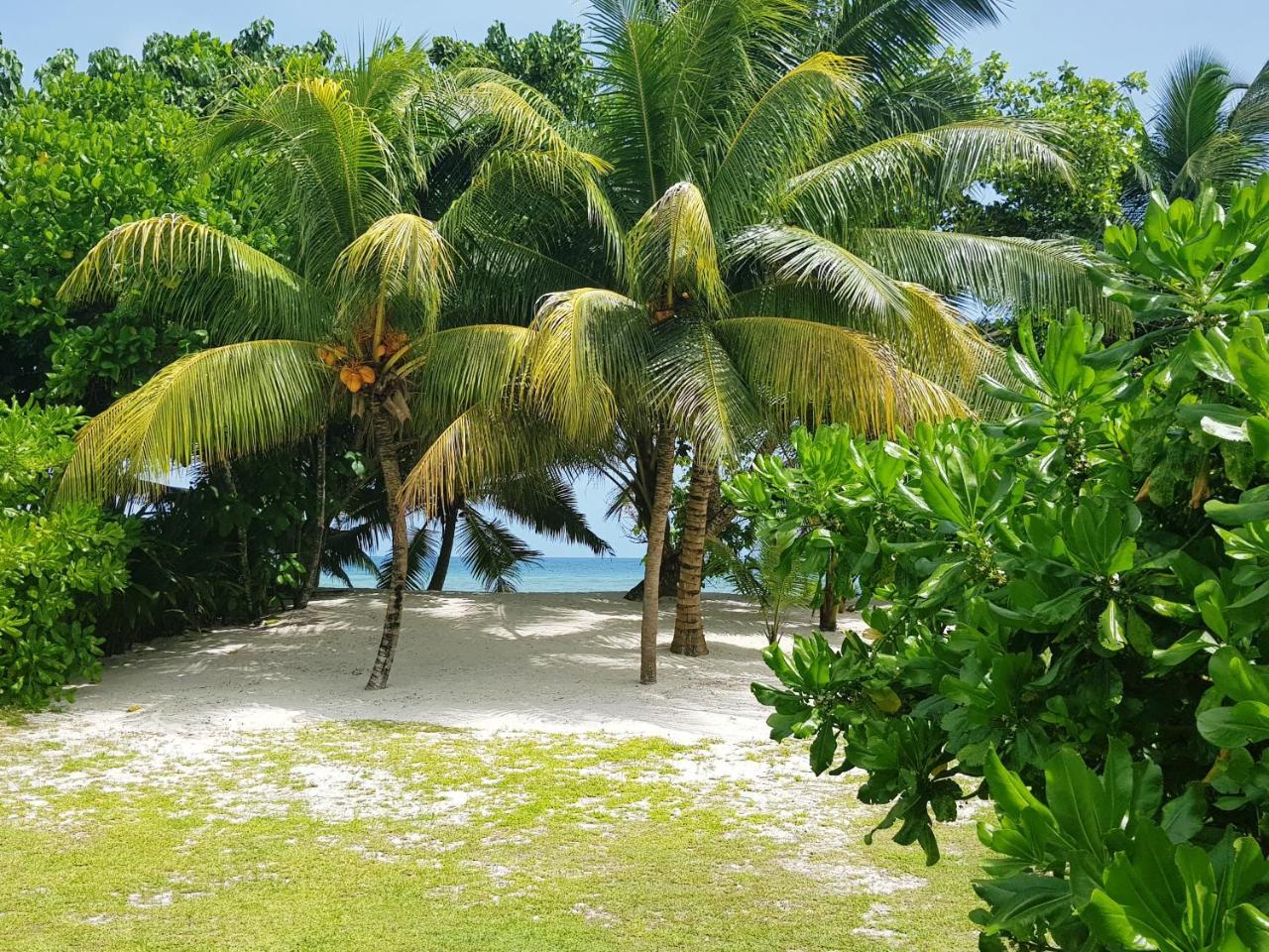 Villa Admiral Grand’ Anse Zewnętrze zdjęcie